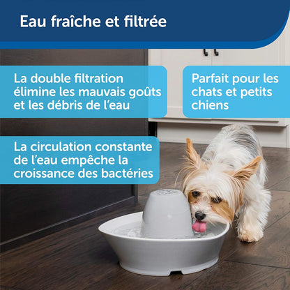 Fontaine à Eau Chat Céramique 1,8L