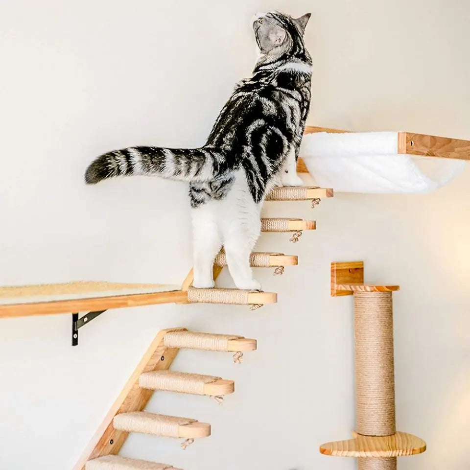 Arbre à Chat Mural-🐈 Catgrip🐾🥰