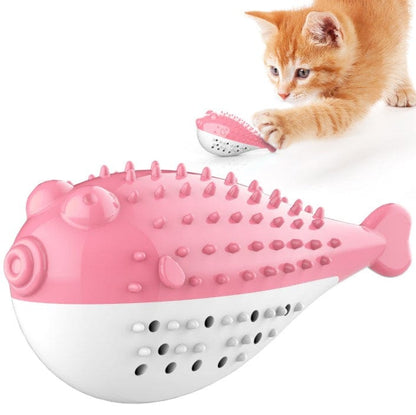 Brosse à Dent Chat à Morde-🐈 Catgrip🐾🥰