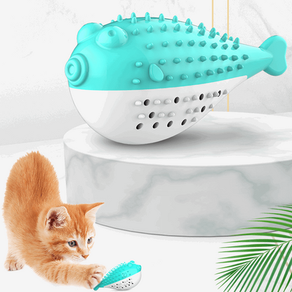 Brosse à Dent Chat à Morde-🐈 Catgrip🐾🥰