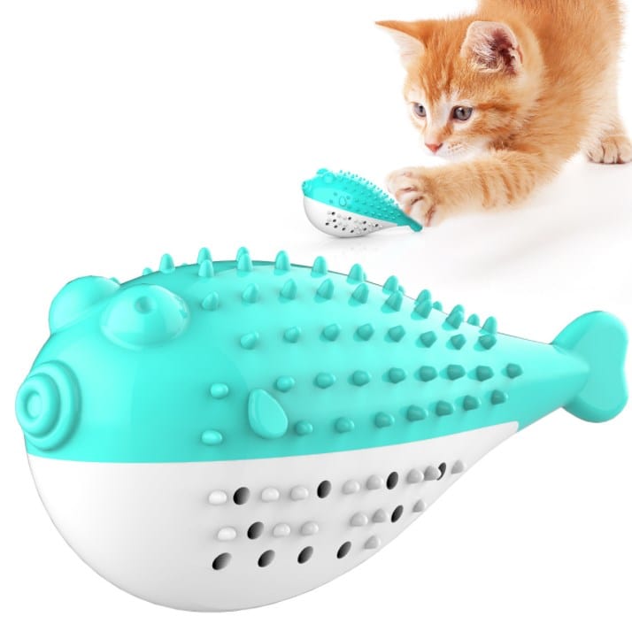 Brosse à Dent Chat à Morde-🐈 Catgrip🐾🥰