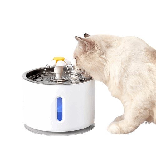 Fontaine à Eau Chat 2.5L Marguerite INOX-🐈 Catgrip🐾🥰