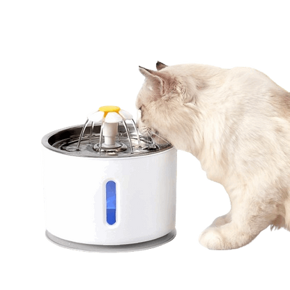 Fontaine à Eau Chat 2.5L Marguerite INOX-🐈 Catgrip🐾🥰