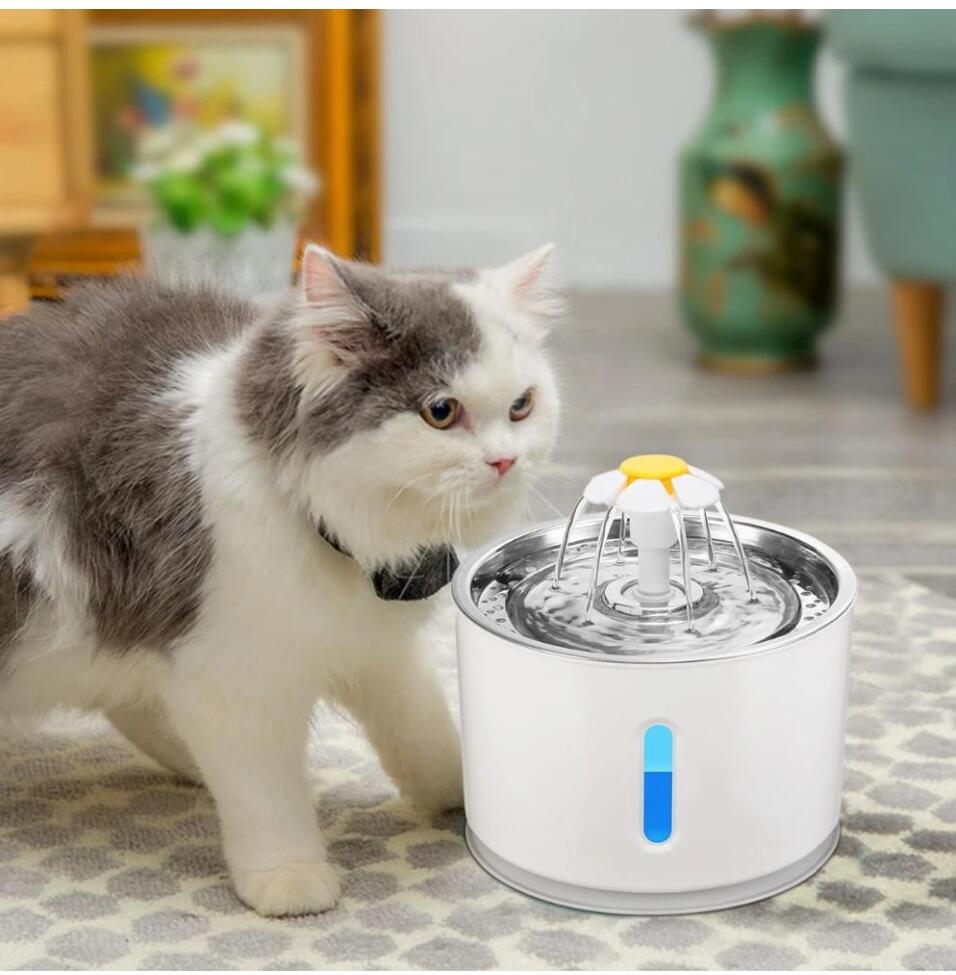 Fontaine à Eau Chat 2.5L Marguerite INOX-🐈 Catgrip🐾🥰