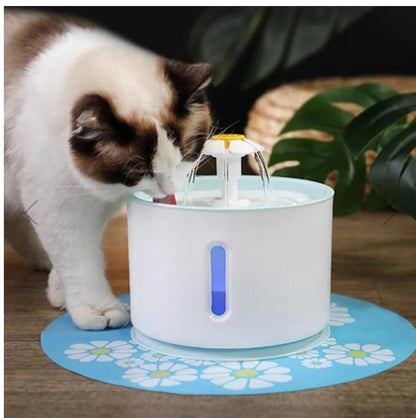 Fontaine à Eau Chat 2.5L Marguerite INOX-🐈 Catgrip🐾🥰