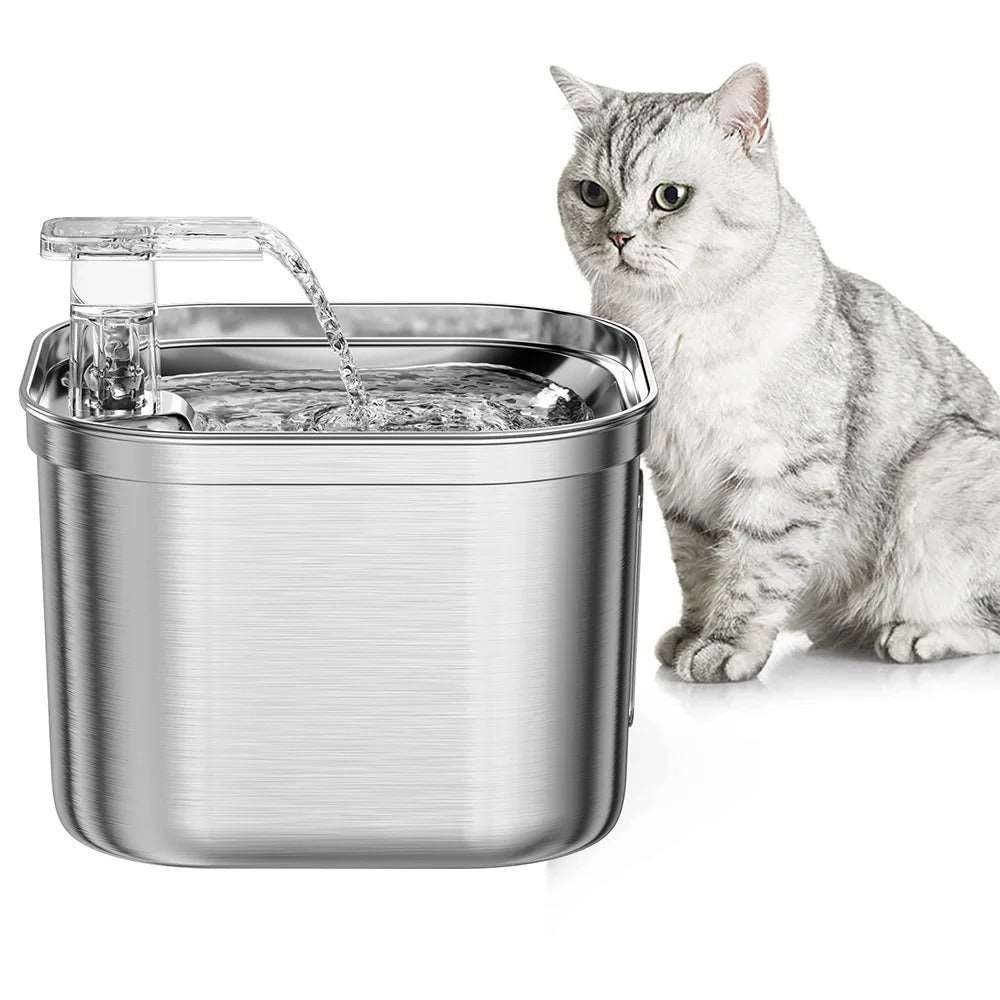 Fontaine à Eau Chat 2L Transparente ou INOX-🐈 Catgrip🐾🥰