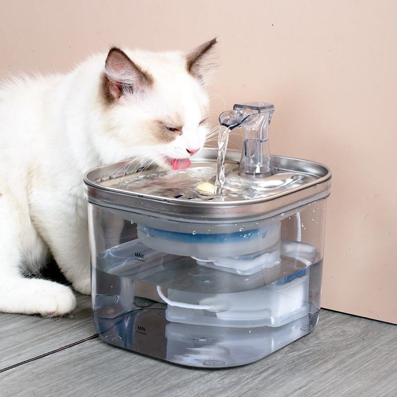 Fontaine à Eau Chat 2L Transparente ou INOX-🐈 Catgrip🐾🥰