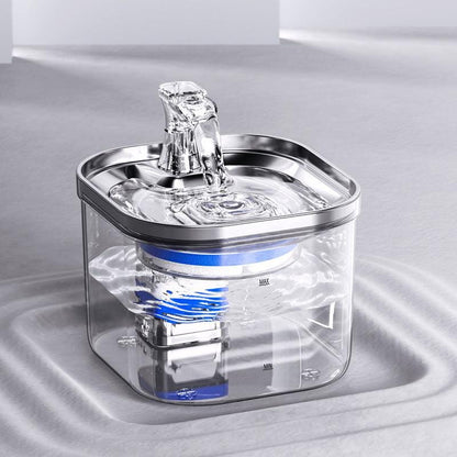 Fontaine à Eau Chat 2L Transparente ou INOX-🐈 Catgrip🐾🥰