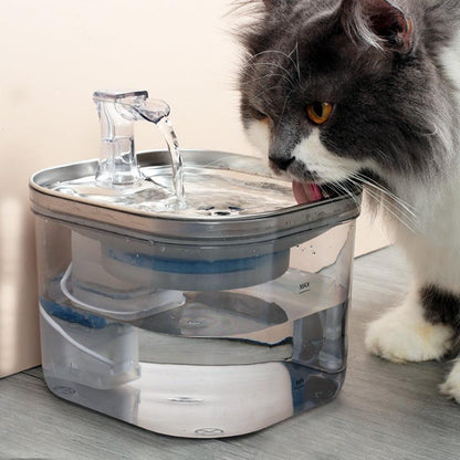 Fontaine à Eau Chat 2L Transparente ou INOX-🐈 Catgrip🐾🥰