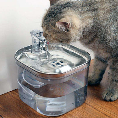 Fontaine à Eau Chat 2L Transparente ou INOX-🐈 Catgrip🐾🥰