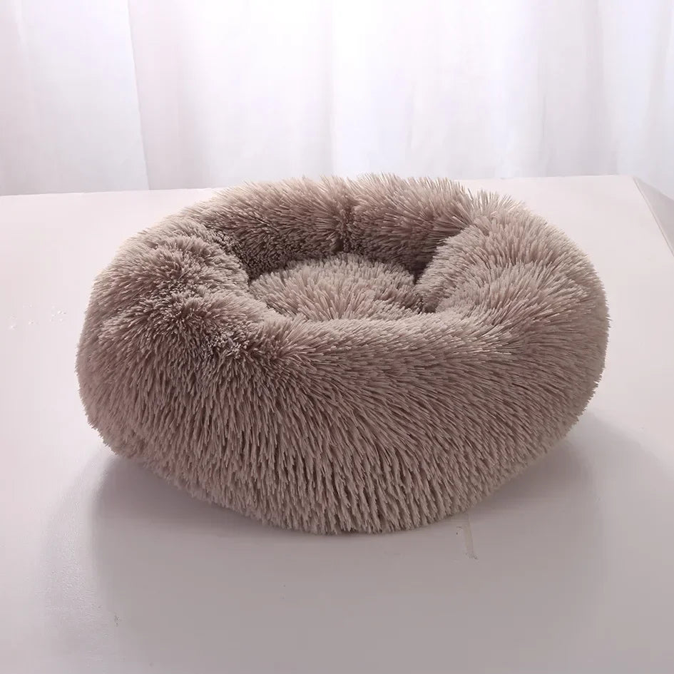 Panier Chat Rond petite taille-🐈 Catgrip🐾🥰