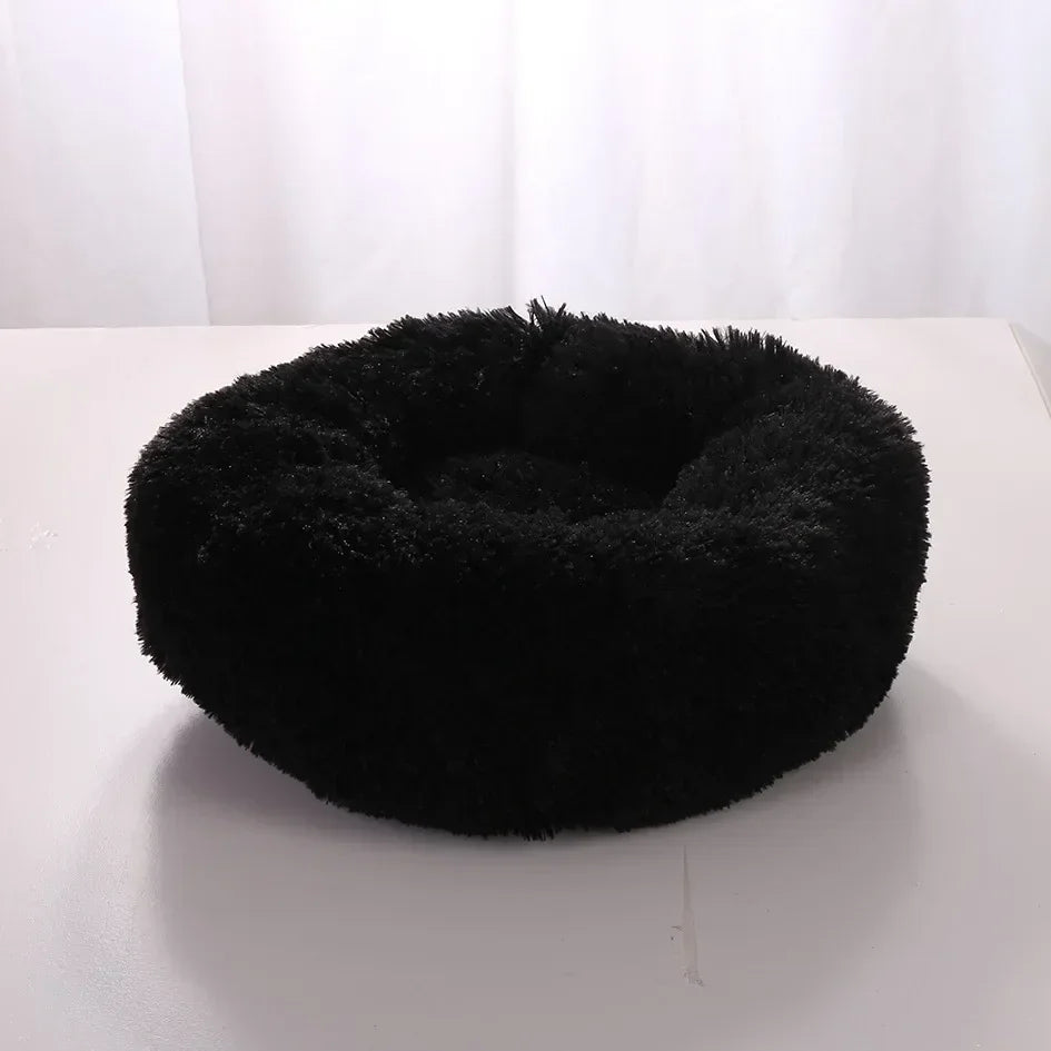 Panier Chat Rond petite taille-🐈 Catgrip🐾🥰