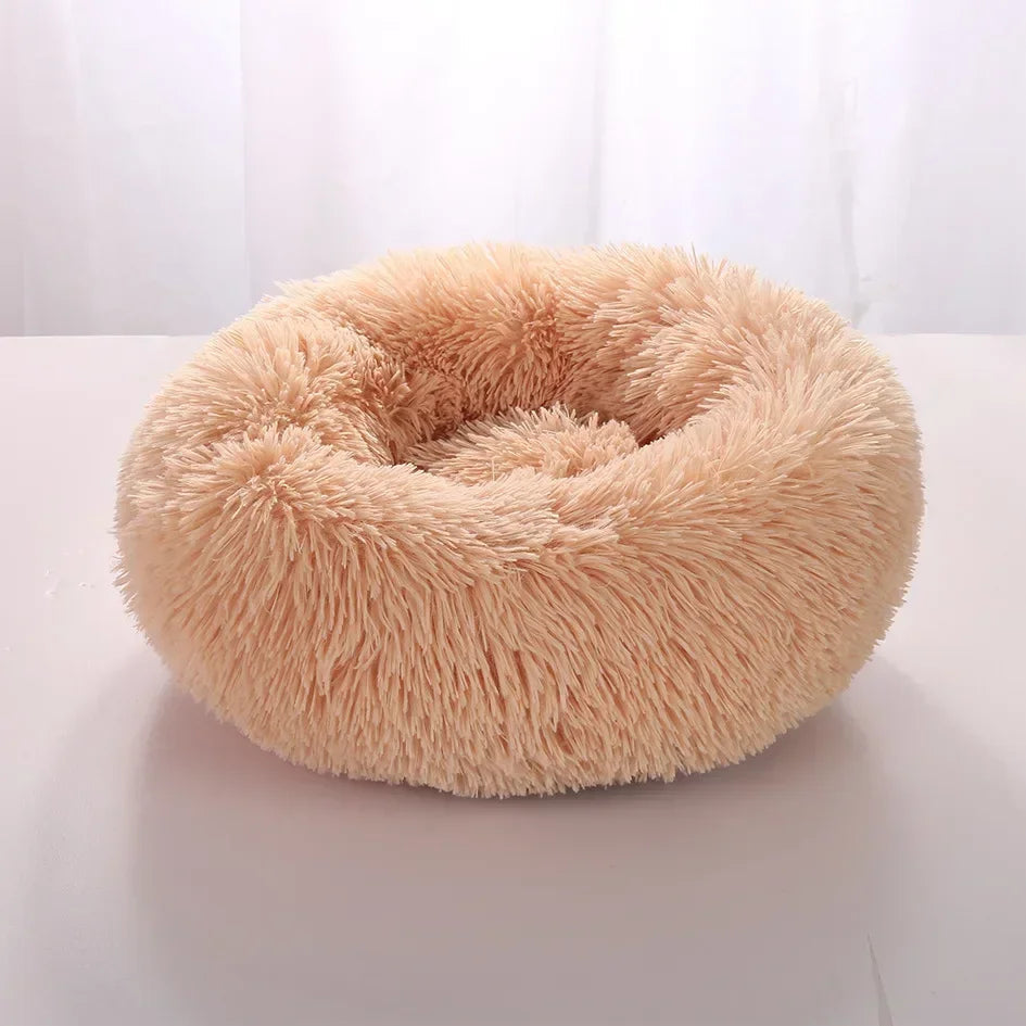 Panier Chat Rond petite taille-🐈 Catgrip🐾🥰