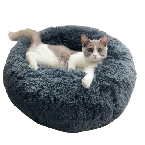 Panier Chat Rond petite taille-🐈 Catgrip🐾🥰