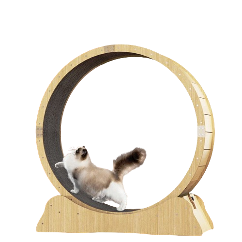 Roue pour Chat Bois-🐈 Catgrip🐾🥰