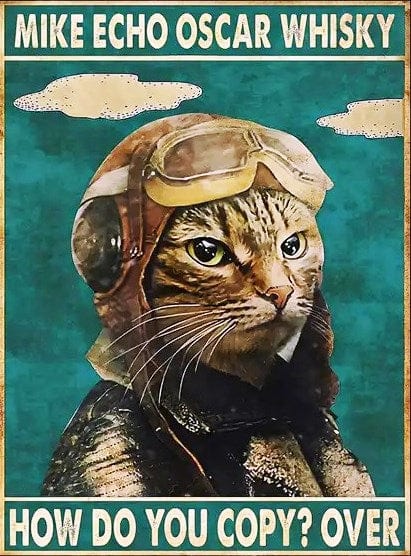 Tableau Chat Vintage-🐈 Catgrip🐾🥰